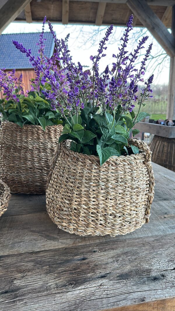 Lavendel In Pot Kunst 50 cm - Afbeelding 6