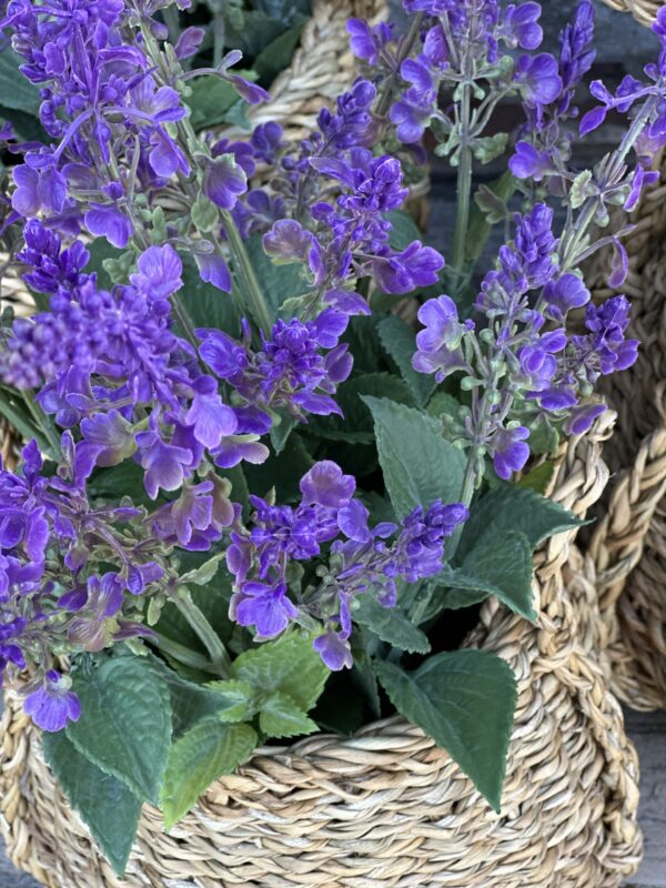 Lavendel In Pot Kunst 50 cm - Afbeelding 3